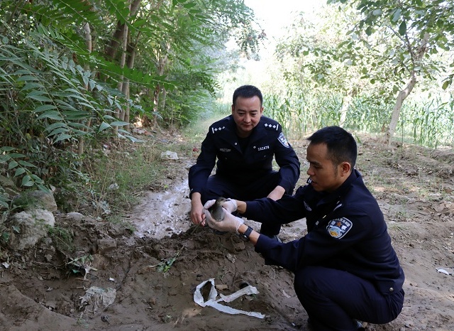 新疆葉城：警民愛心接力 及時救助國家三有保護動物“黑水雞”_副本.jpg